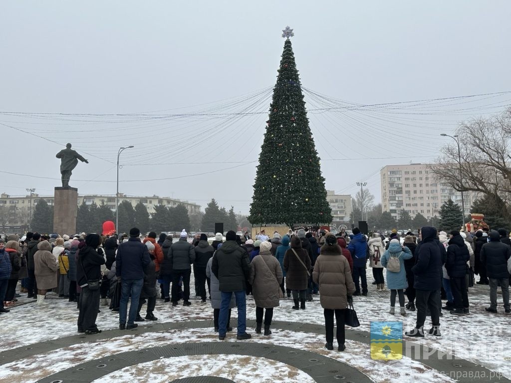     Бои на подушках, конкурс частушек и перетягивание каната: в Волжском прошли Рождественские гуляния
