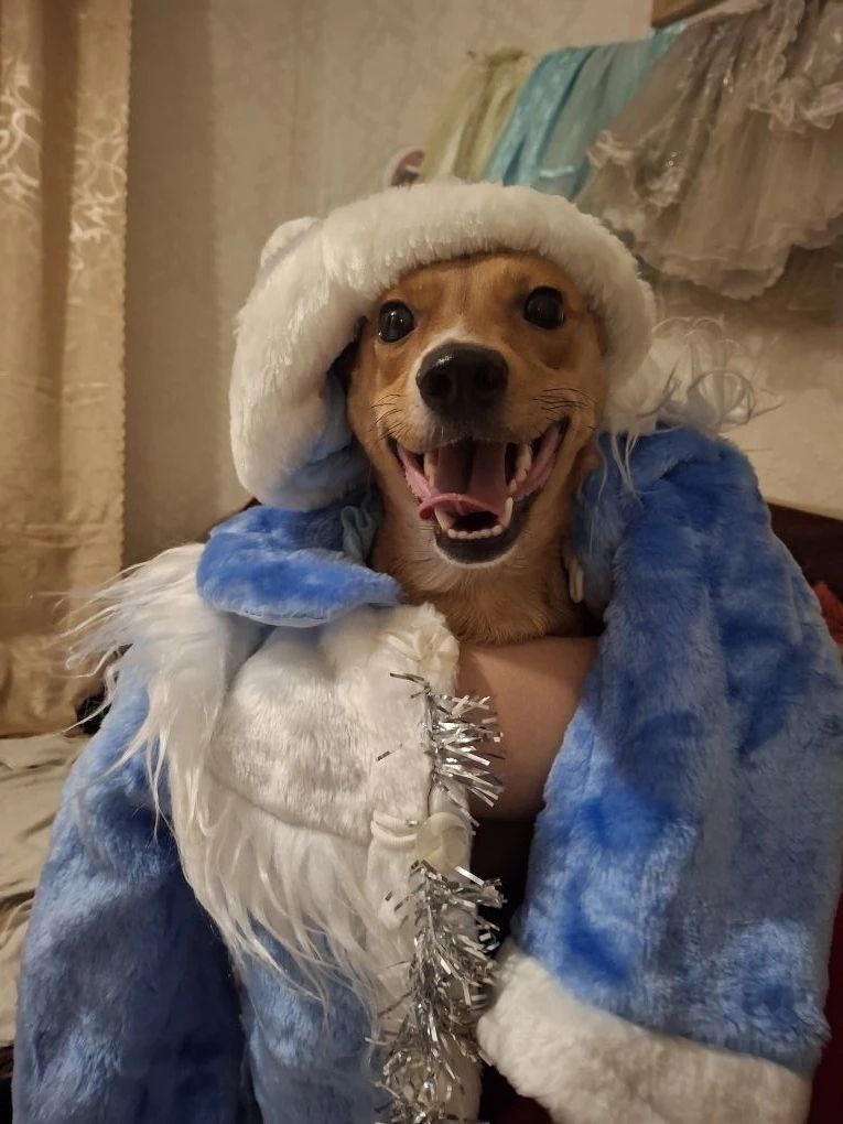 Снегурочка с самой счастливой улыбкой на свете!