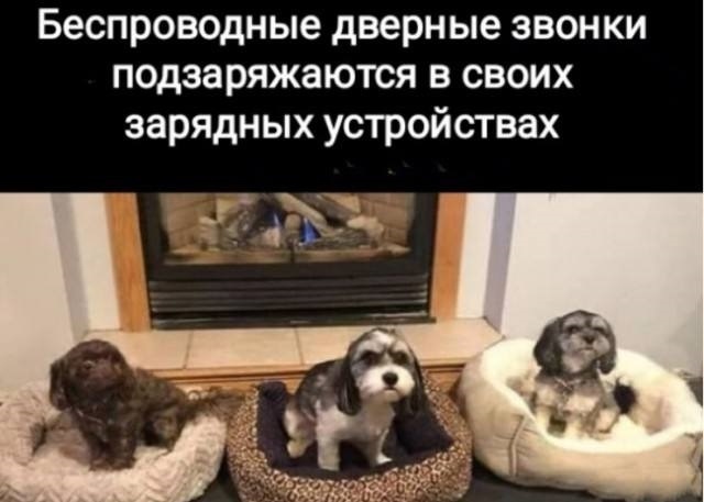 Смех из социальных сетей! Забавные шутки, забавные случаи и веселые рассказы. Фото взято из общедоступных ресурсов соцсетей.