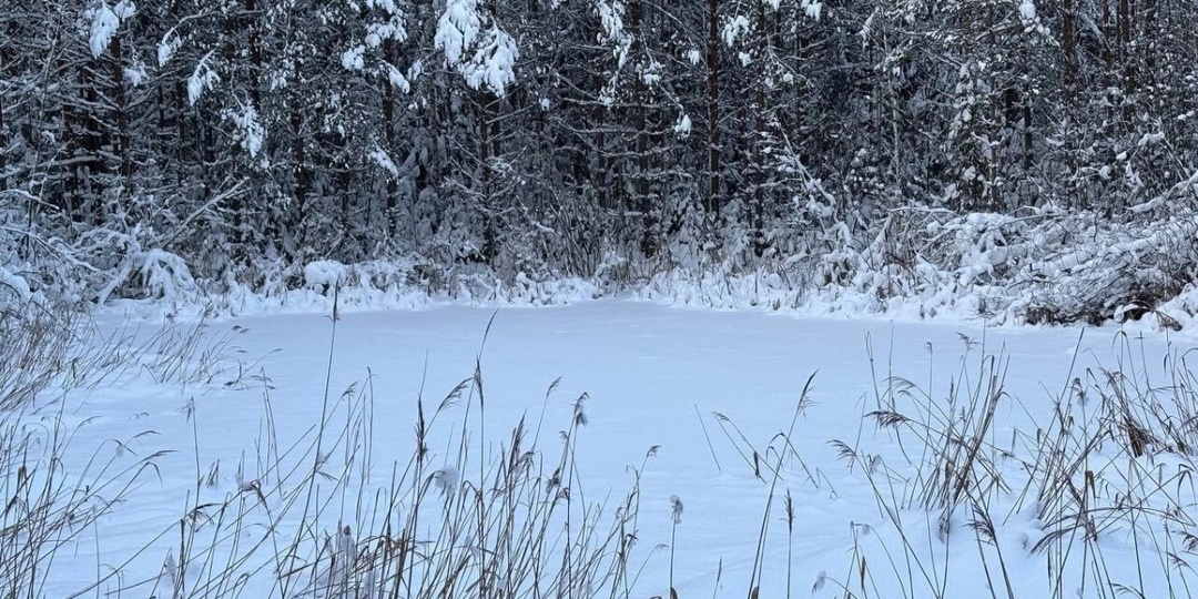 Нижегородцам показали место, где 195 млн лет назад упал метеорит