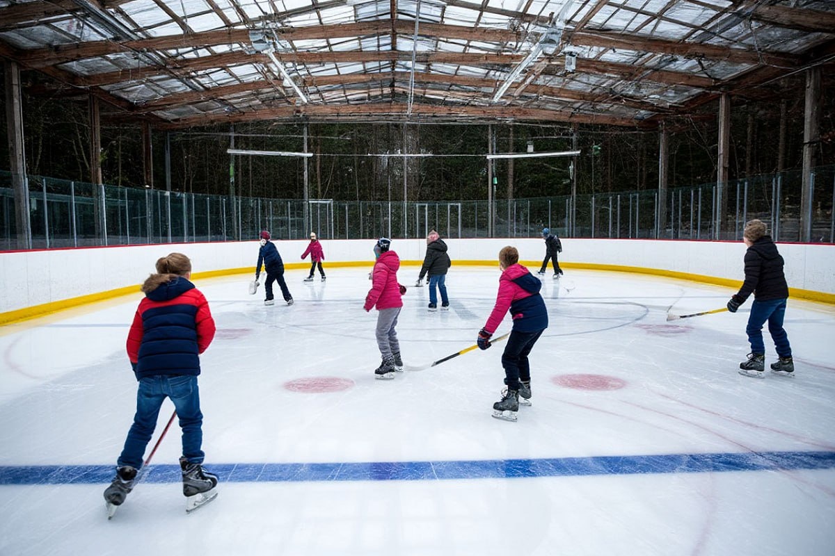    Фото: коллаж RuNews24.ru