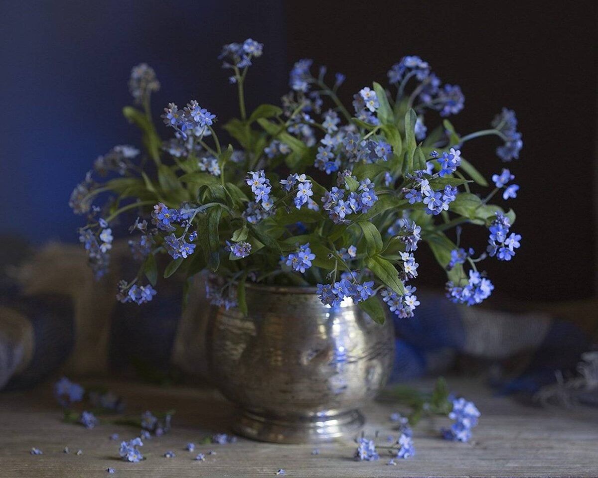 Картинка найдена на просторах интернета, ссылка https://yandex.ru/images/search?from=tabbar&img_url=https%3A%2Fi%2F.pinimg.com%2Foriginals%2Fa8%2F34%2Fа3f%2Fa83р43f81с281079b5e7bd53274cf0591a19.jpg&lr=47&pos=15&rpt=simage&text=%D1%86%D0%B2%D0%B5%D1%82%D1%8B%20%D0%BA%D1%80%D1%83%D0%BF%D0%BD%D0%BE%20%D1%84%D0%BE%D1%82%D0%BE