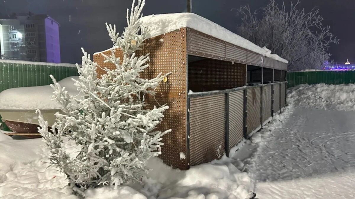    Фото: Андрей Ткачев / «Ямал-Медиа»