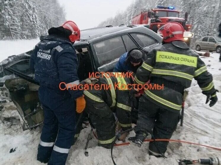     фото: Спасатели Костромы