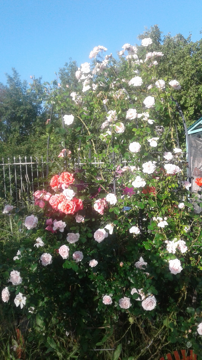 Старая дача