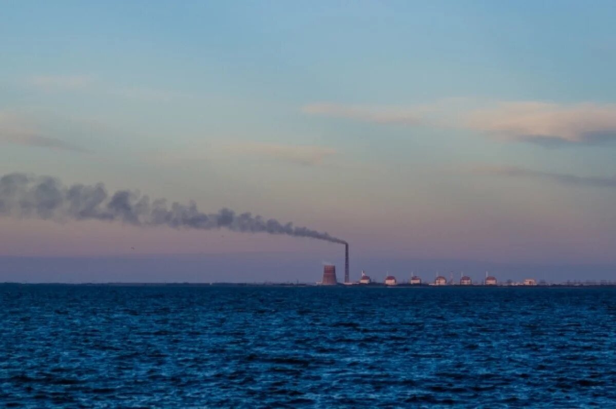    На Запорожской АЭС допустили расплавление топлива в случае полного блэкаута