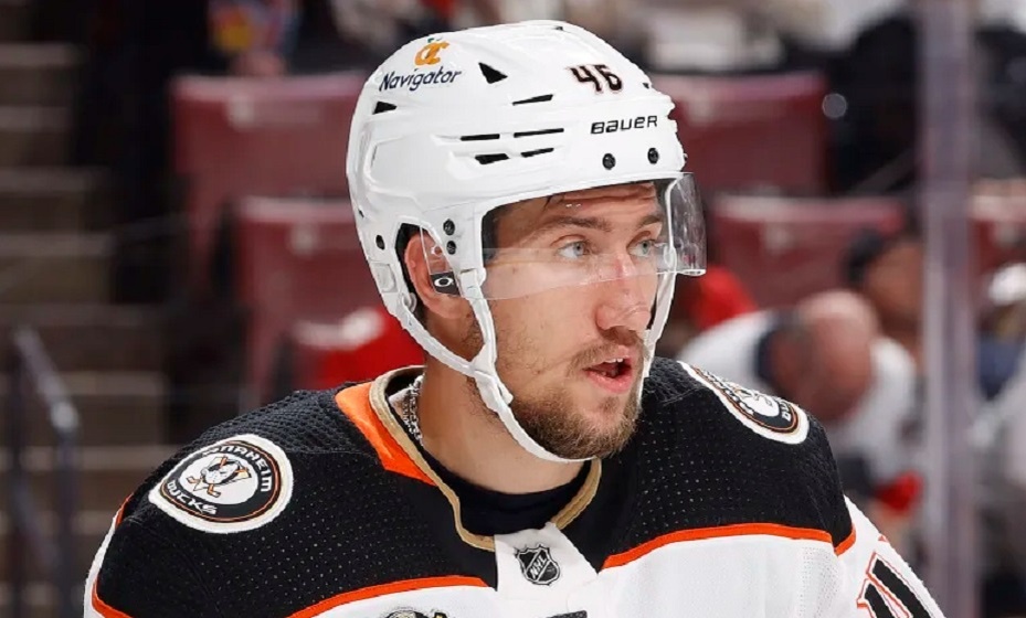    Любушкин и Дюхейм подрались во время матча НХЛ. Фото: НХЛ