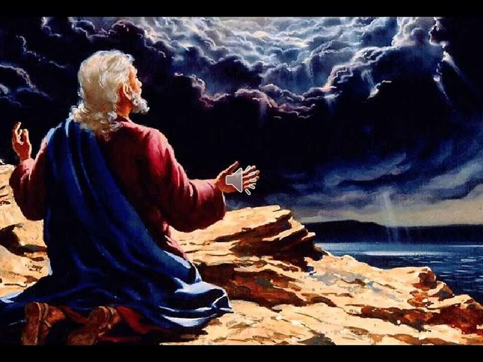 Из открытых источников Янднкса.