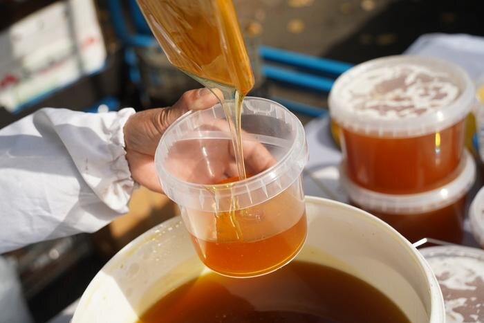 Обложка © Shutterstock / FOTODOM / Vladimir Tretyakov