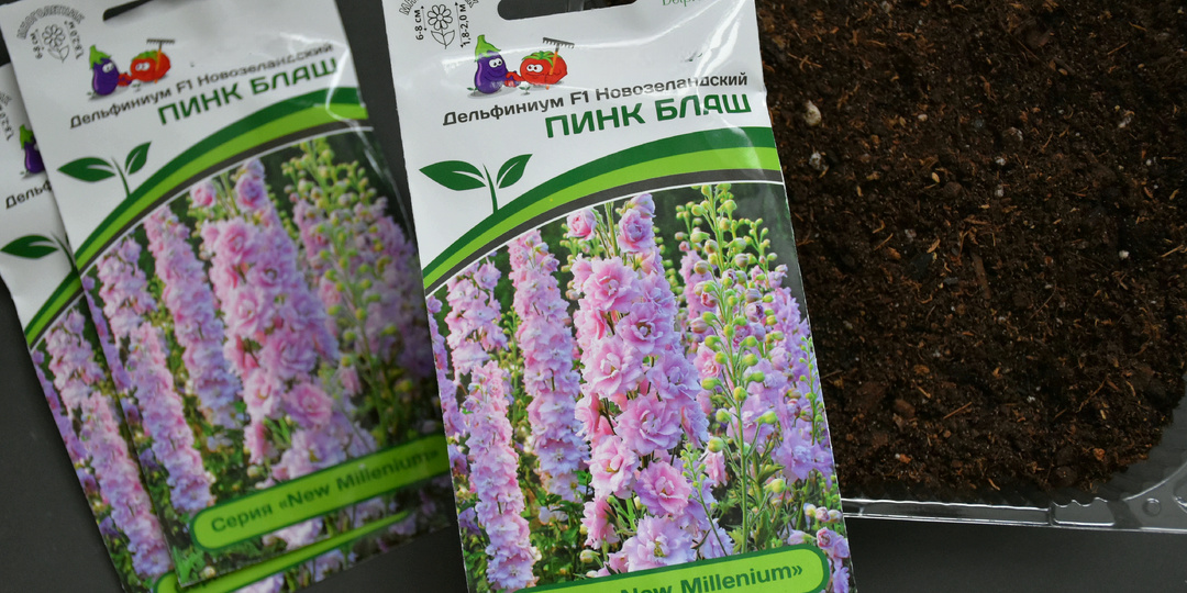 Как сеять Дельфиниум на рассаду: мой простой способ