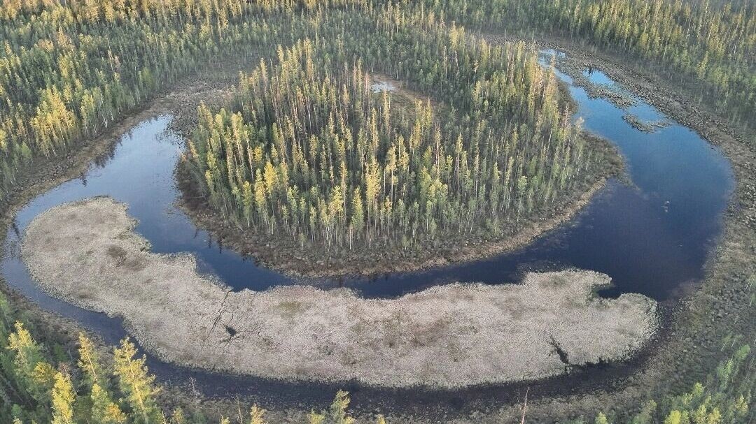   vk.com/tunguskiy/Мороз Е.А.