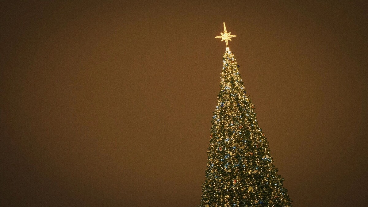    66 дронов атаковали Россию   novostivolgograda.ru