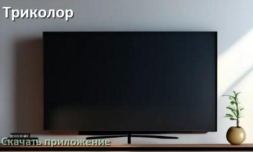 
Как на смарт телевизор Триколор скачать приложение и установить в Android TV 16, 15, 14