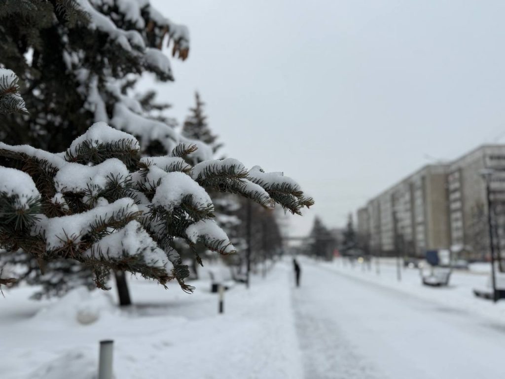    Фото: Яна Пивцайкина