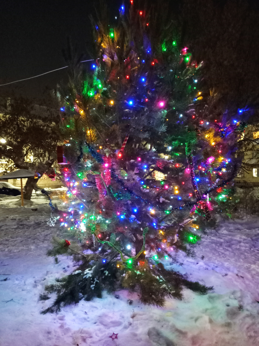 ЁЛОЧКА ВО ДВОРЕ СВЕТЛАНЫ БОРИСОВНЫ. ФОТО ИЗ АРХИВА АВТОРА КАНАЛА " ПРОСТО ЗА 80".