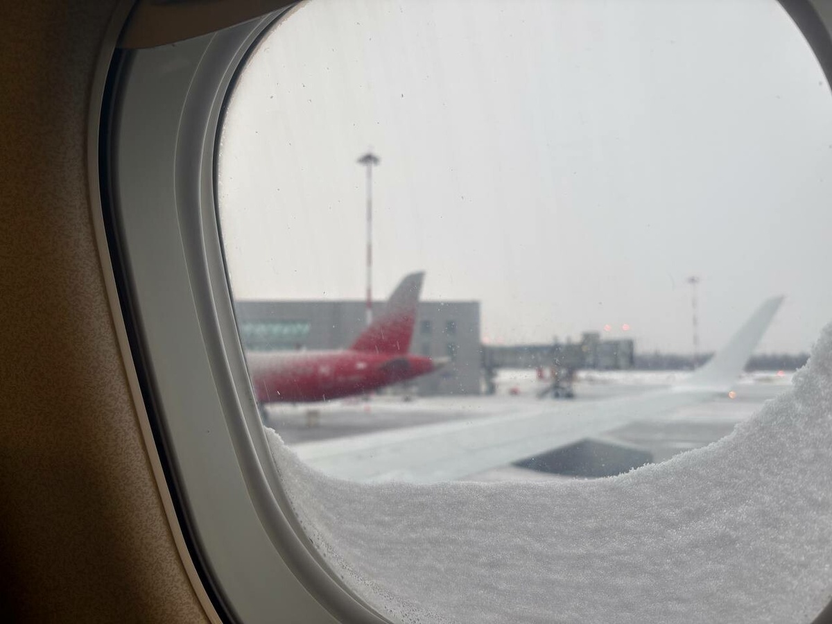 Фото: Neva.Today