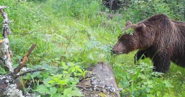 ФОТО: Нацпарк "Таганай"