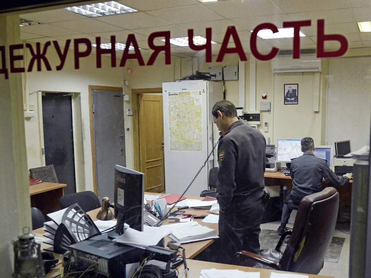     Фото: РИА Новости / Максим Блинов