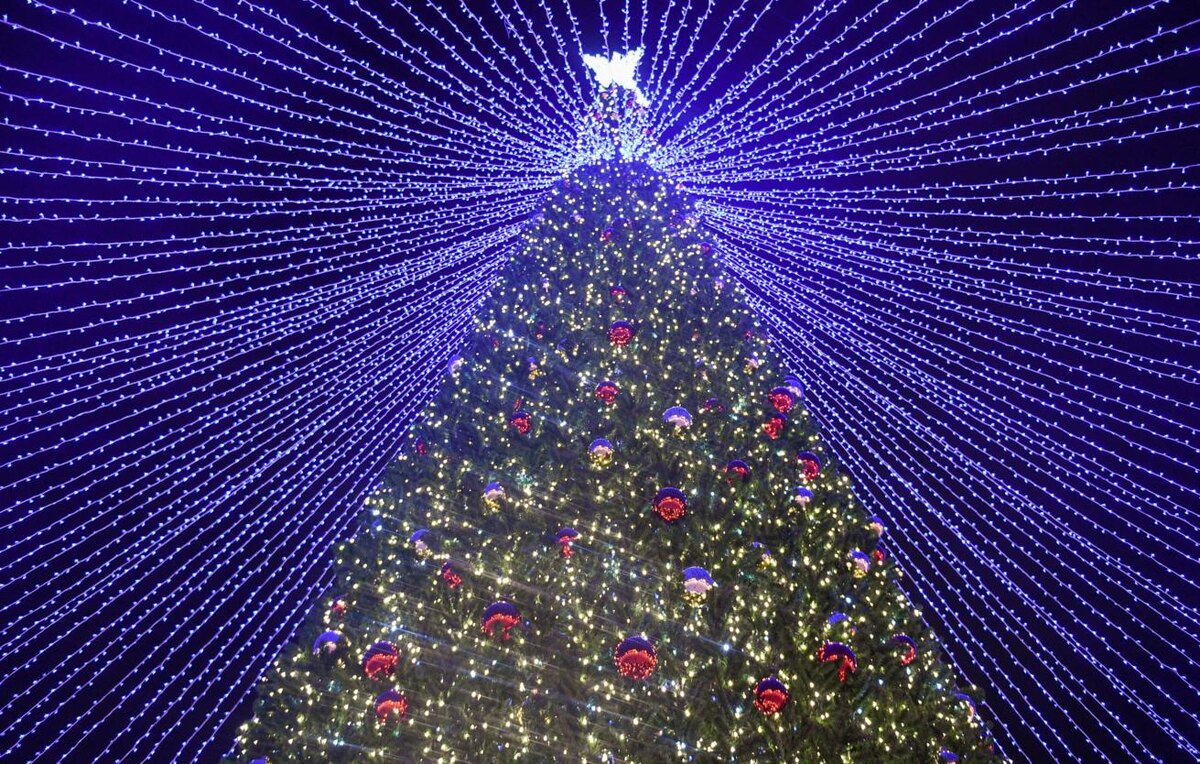    © Николай Михальченко/ ТАСС