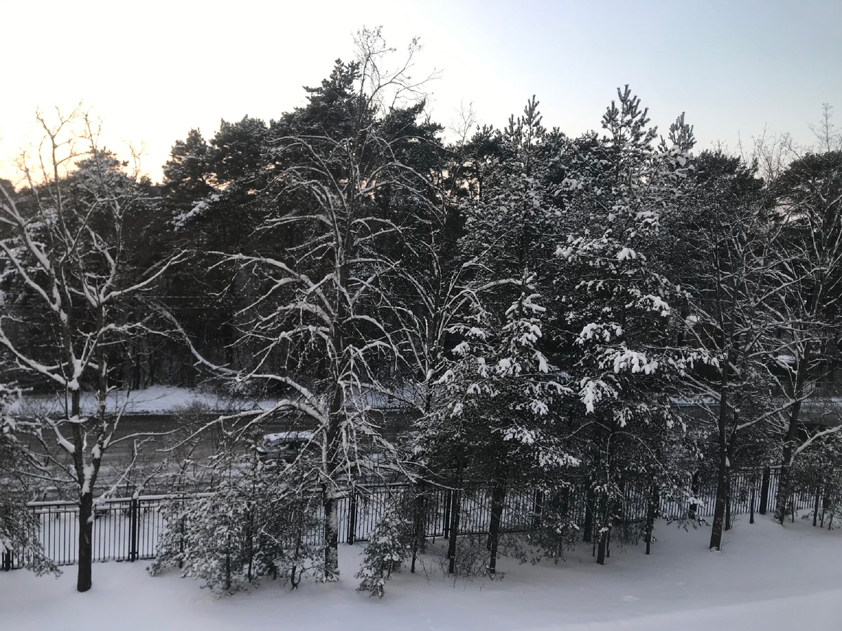 Зимние виды за окном 