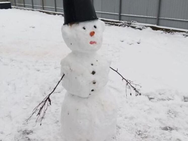     Фото: «МК в Ленобласти»/Надежда Гусарова (архив).