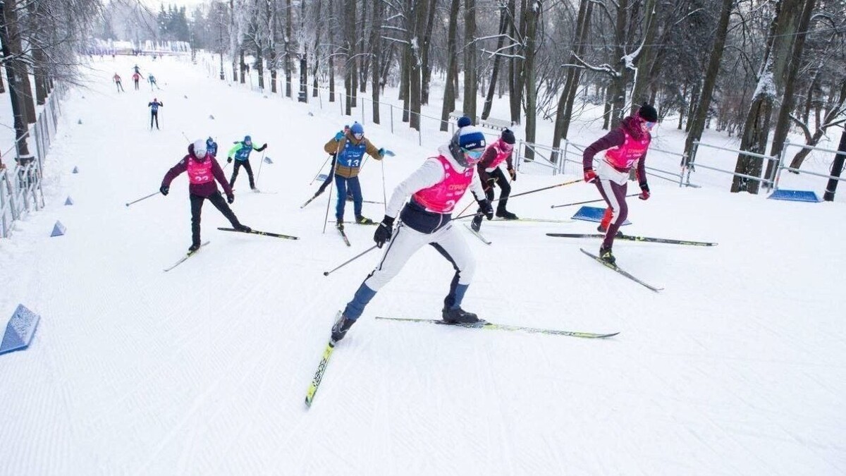  Telegram-канал комитета по благоустройству Петербурга