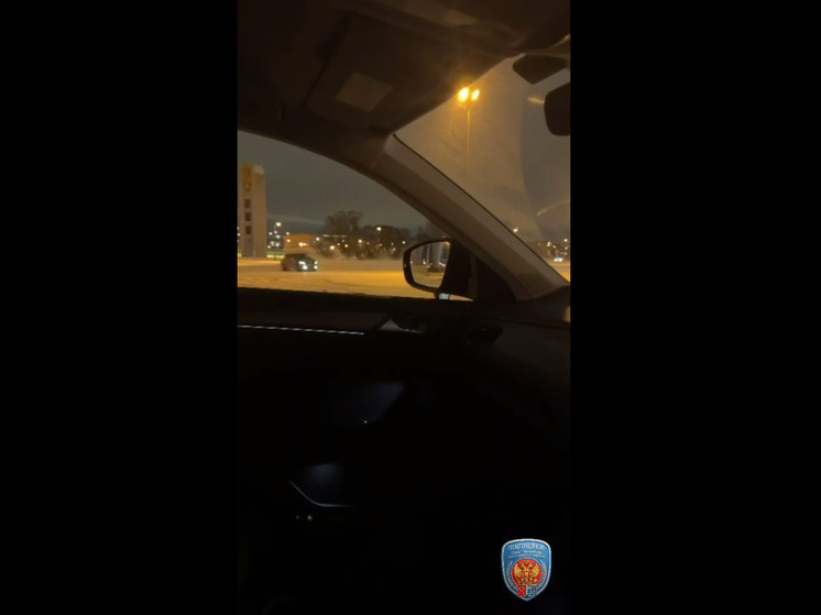     Фото: ГУ МВД России по Петербургу и Ленобласти.