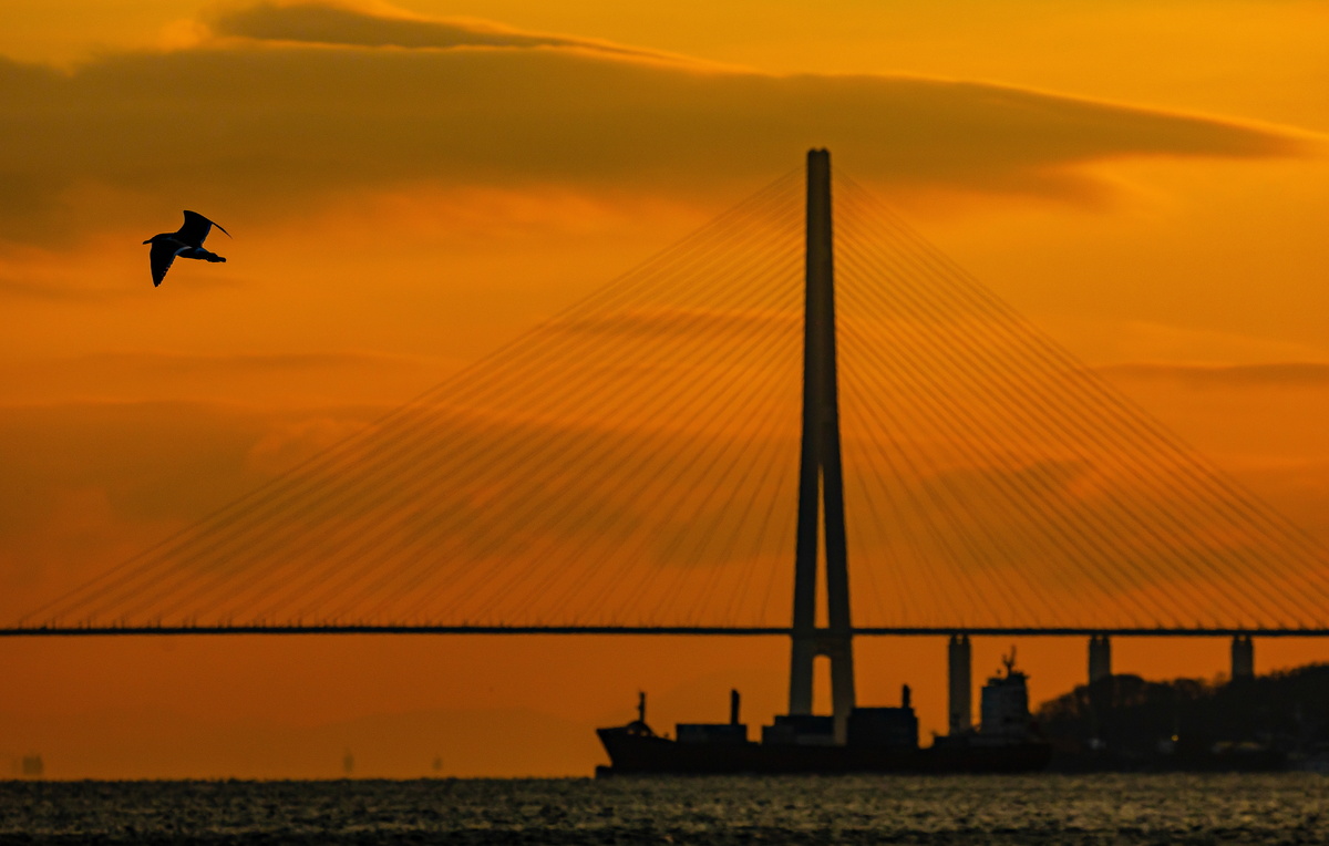 Юрий Смитюк/ТАСС