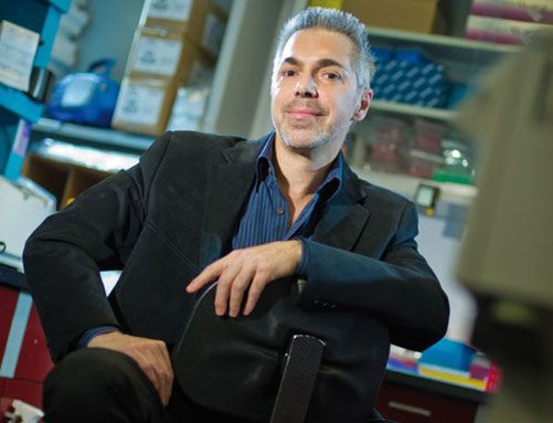 Доктор Ланца