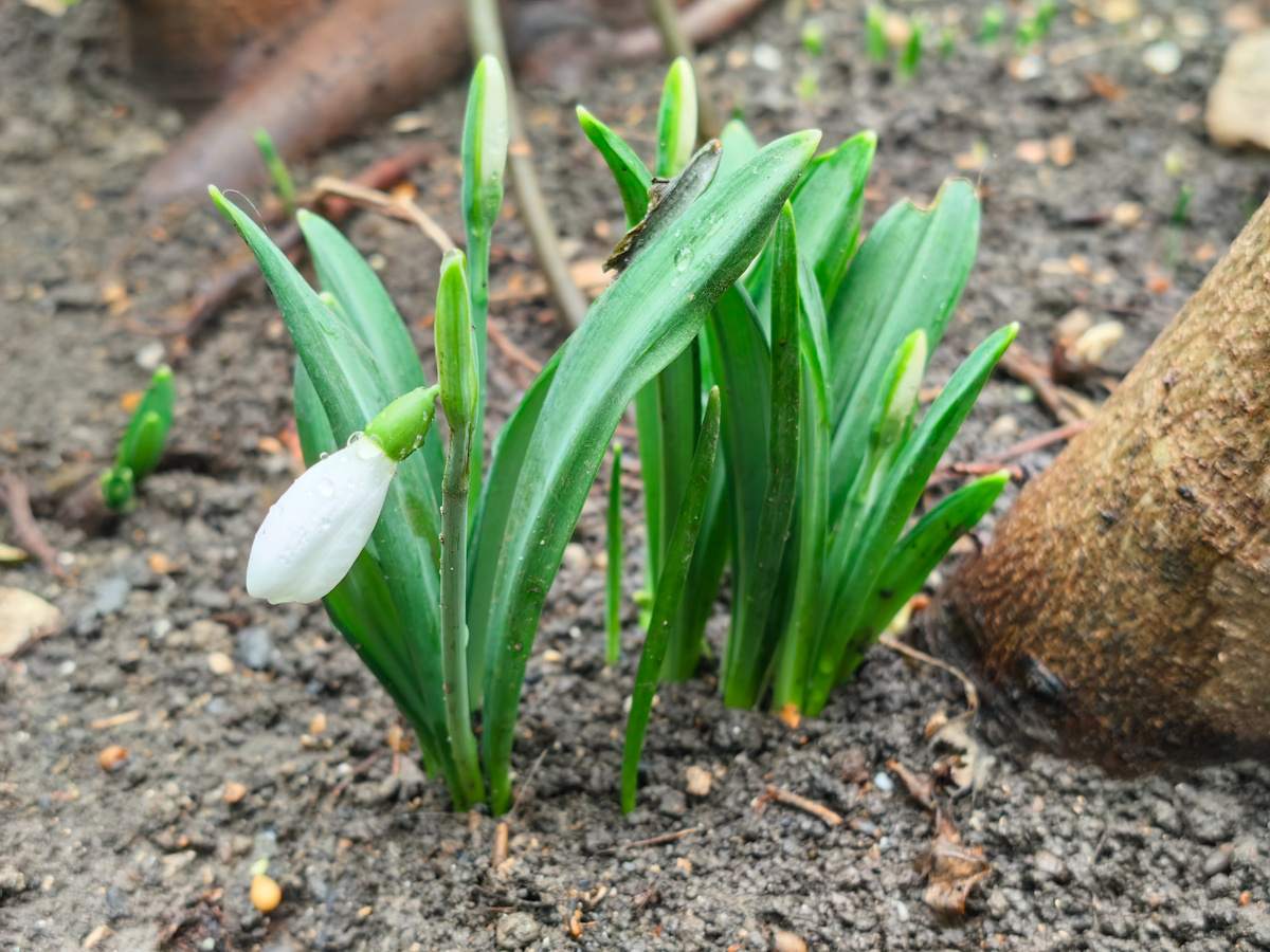 Сегодня. Фото автора канала