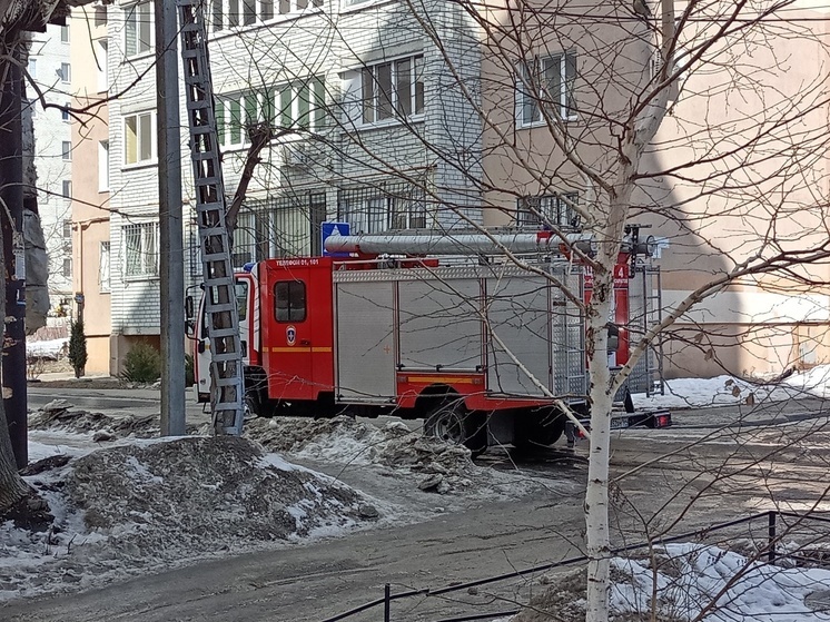     Фото: Наталья Балаболкина