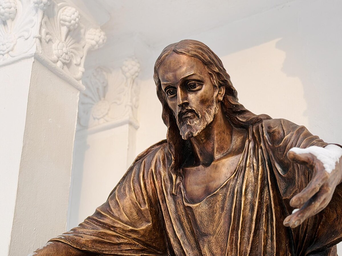     Фото: МедиаБанк Подмосковья/Ольга Стаферова