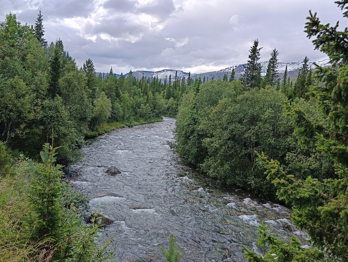 Недалеко от санаторно-оздоровительного комплекса «Тирвас»