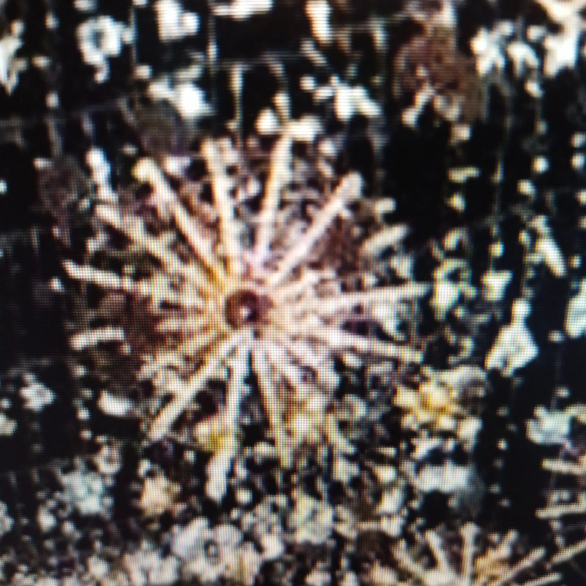 Вчера снимала