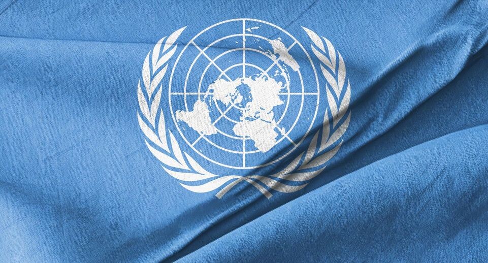    IMAGO/Zoonar.com/Kirill Tonkikh / www.globallookpress.com