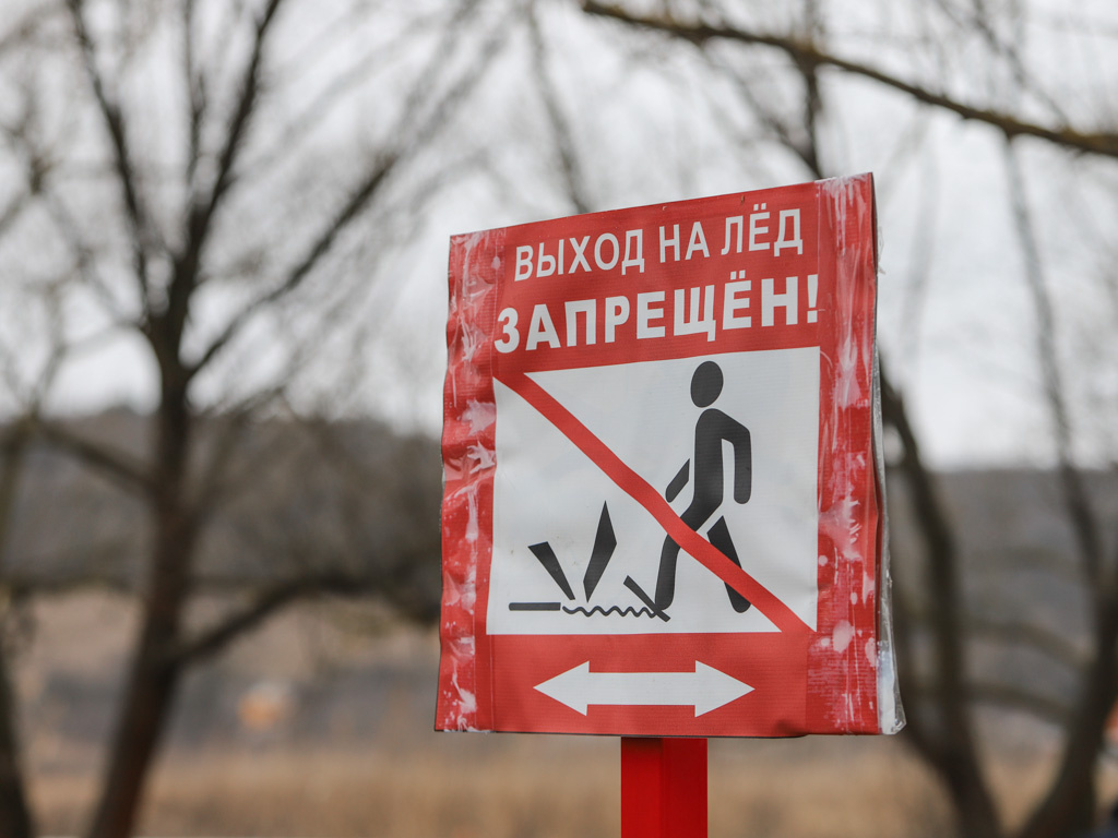     Фото: Валерия Шатько (архив)