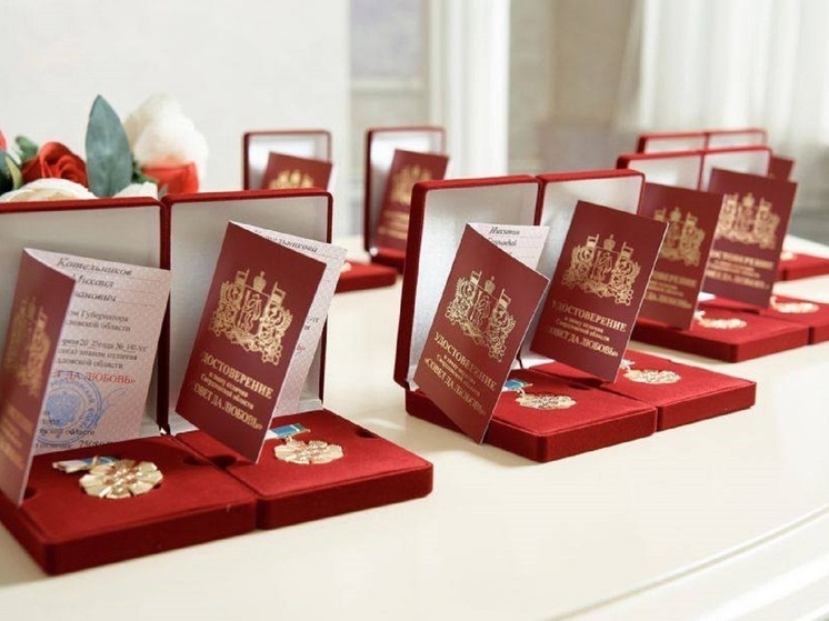     Знаки отличия. Фото: телеграм-канал Дениса Паслера