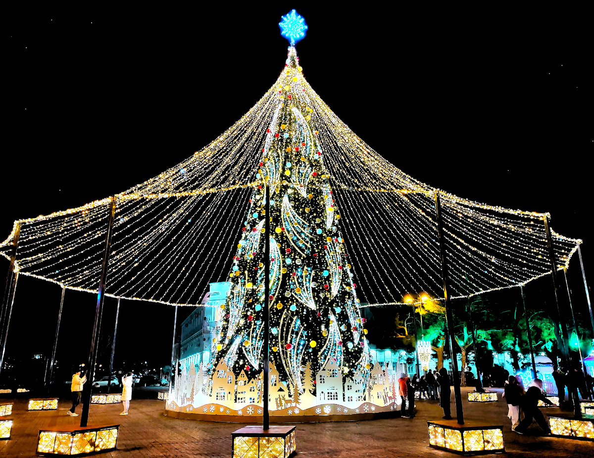 Новогодняя елка в Геленджике. Фото автора