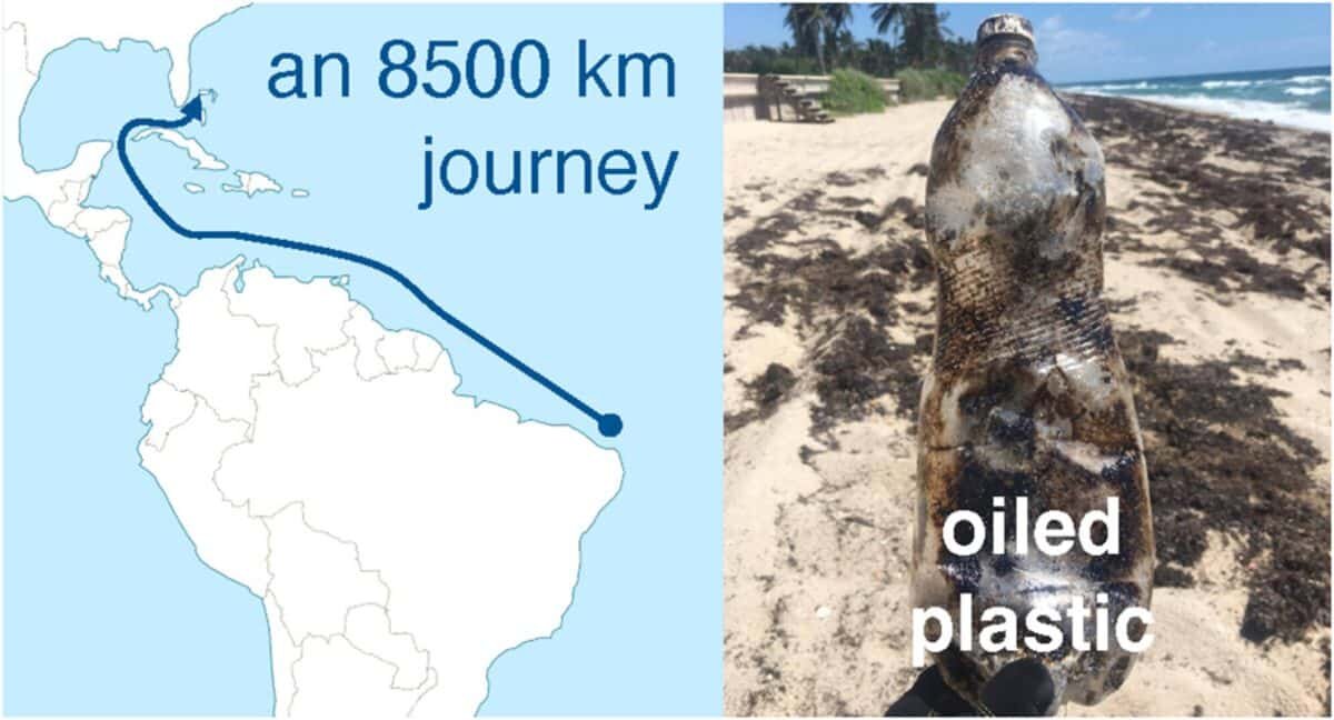    Загрязнитель «нефтепластик» и путь, который он преодолел / © Environmental Science & Technology