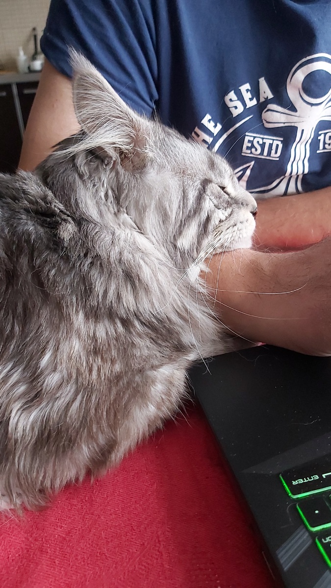 Уснул на руке мужа