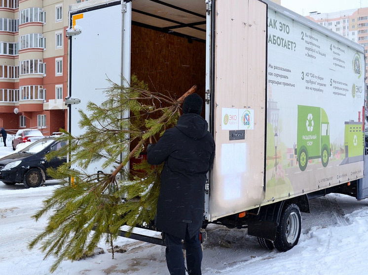     Фото: правительство Курской области