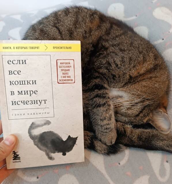 источник: litres.ru