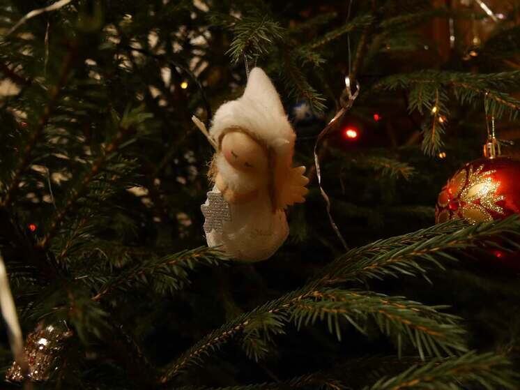     Фото: мк в вологде