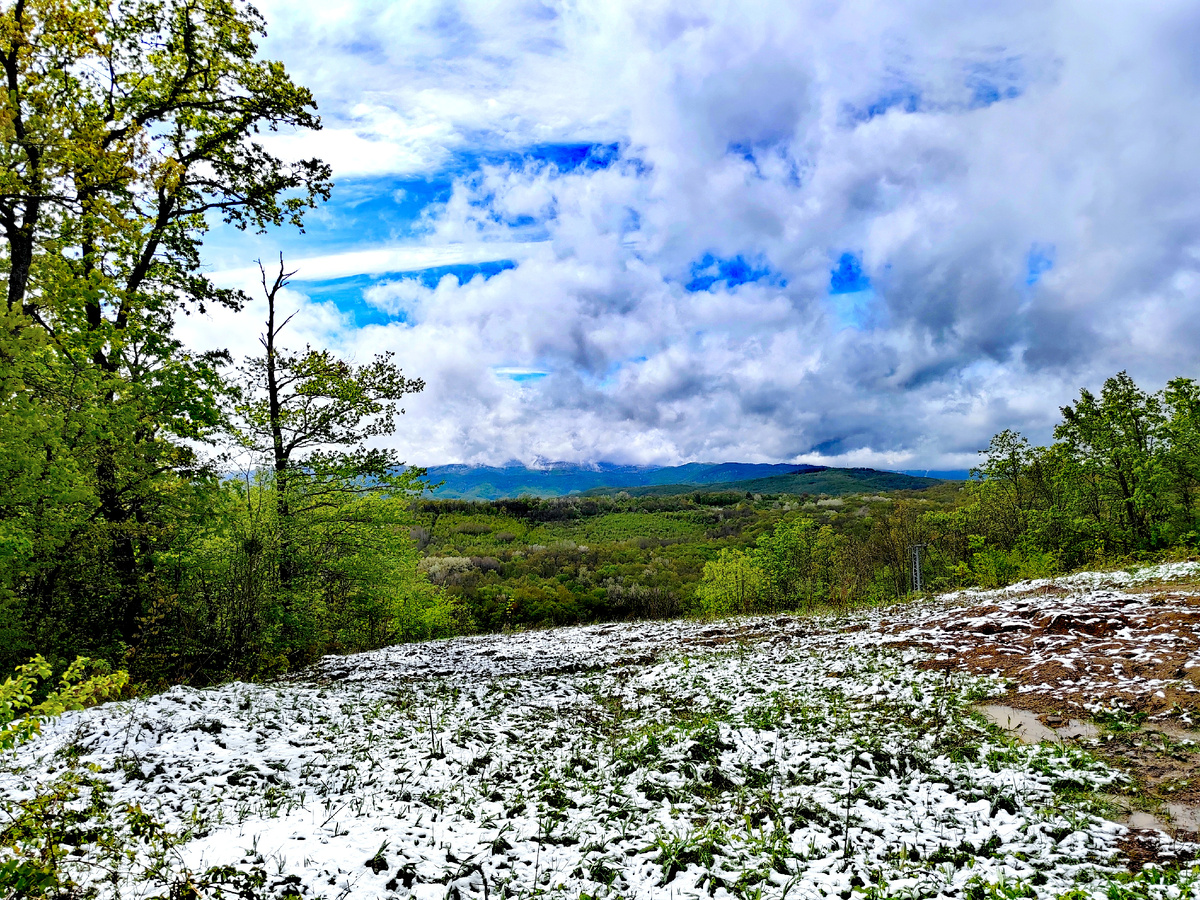 Вид на горы с дороги Горячий Ключ - Хадыженск, через Кутаис. Фото автора