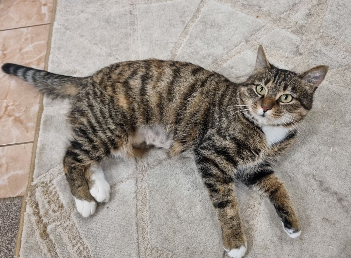 -Ты там меня точно с УВАЖЕНИЕМ фотографируешь?!