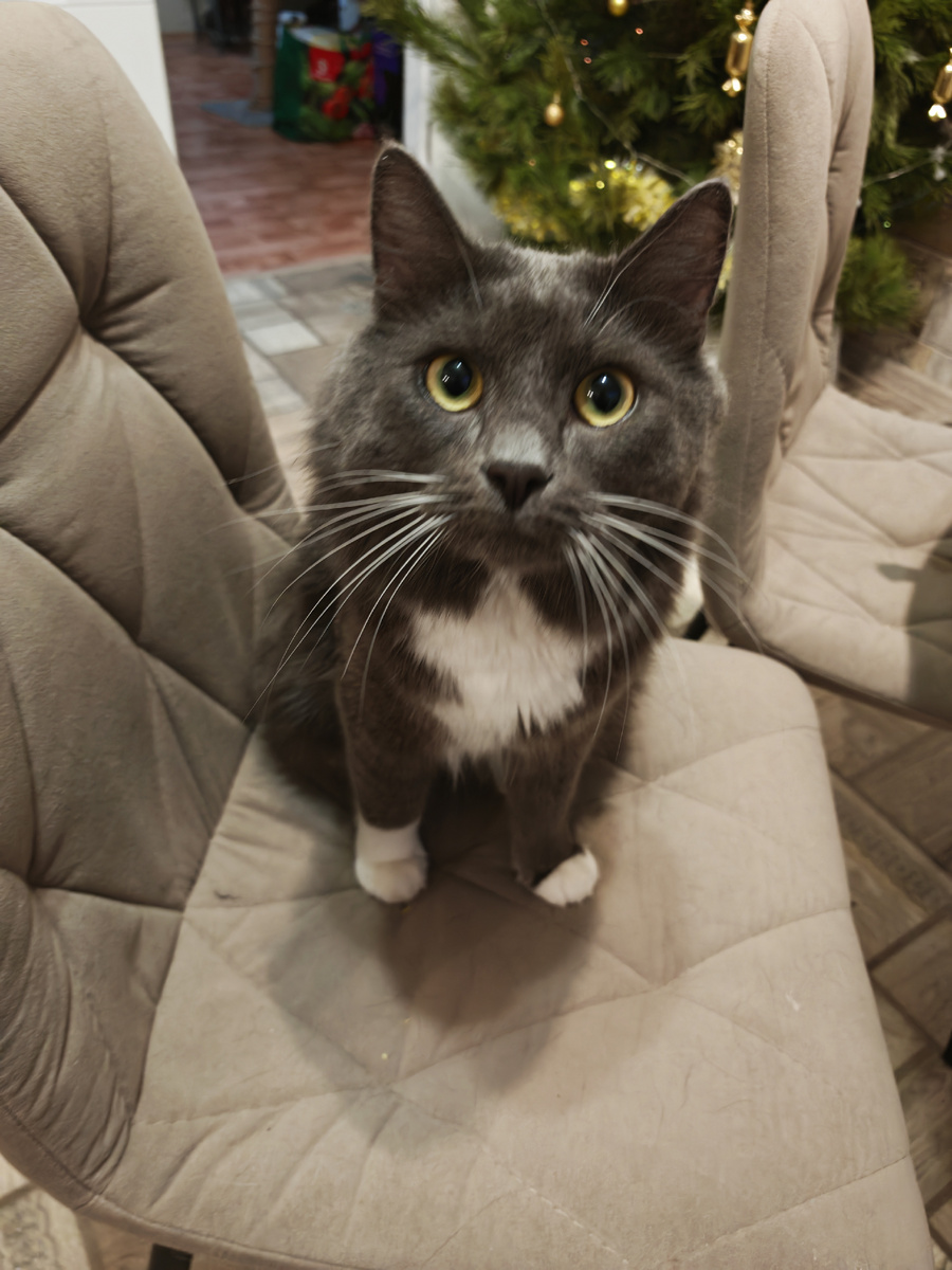 Фото автора канала.