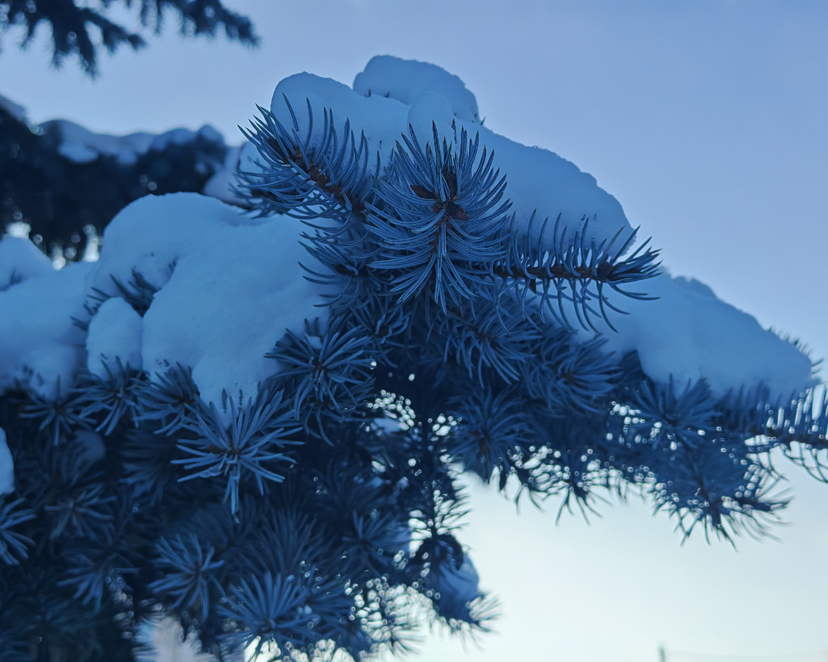 Фото автора канала.