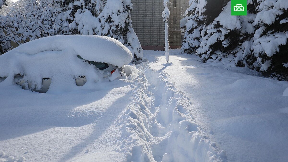    Фото: РИА Новости © 2026, Виталий Тимкив