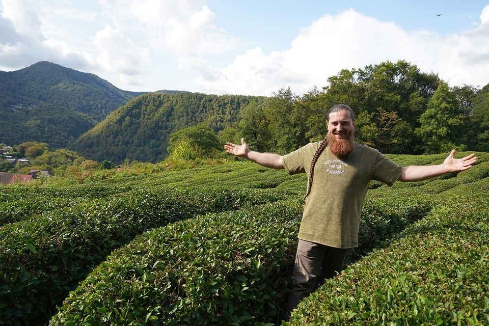    Фермер Егор Матчак - владелец самых северных в мире плантаций чая Алексей ОВЧИННИКОВ