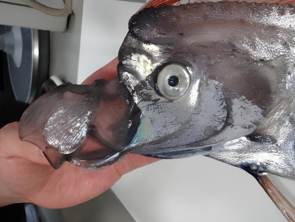 Как тяжело смотреть на губы, которые не можешь поцеловать... 